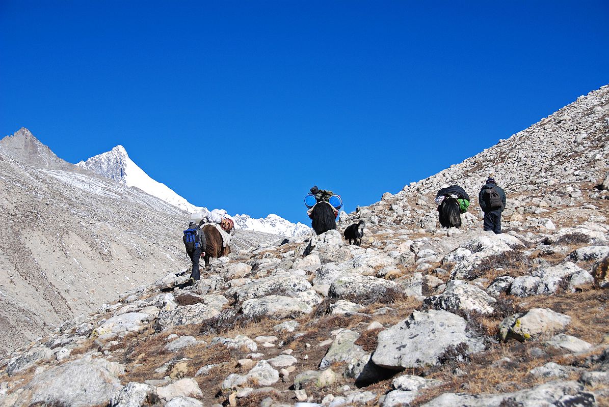 03 Trekking Up Valley Towards Kong Tso And Shishapangma East Face We trek up the north valley towards Kong Tso and Shishapangma East Face. Phola Gangchen is just visible on the horizon to the left.